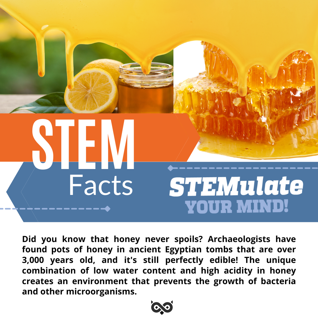 The Sweet Science of Honey: Exploring an Ancient Wonder Through STEM