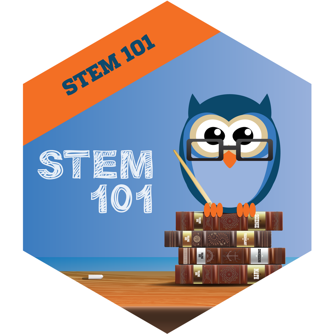 STEM 101 Professional Development