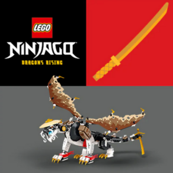 LEGO® NINJAGO®