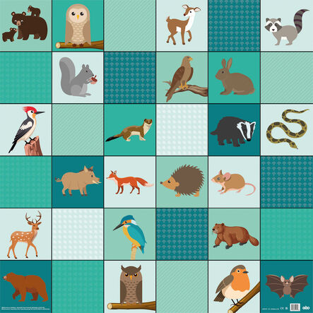 TTS Loti-Bot Mat - Woodland Animals