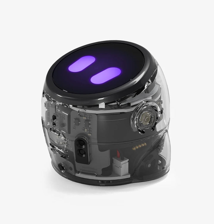 Ozobot Ari Entry Kit