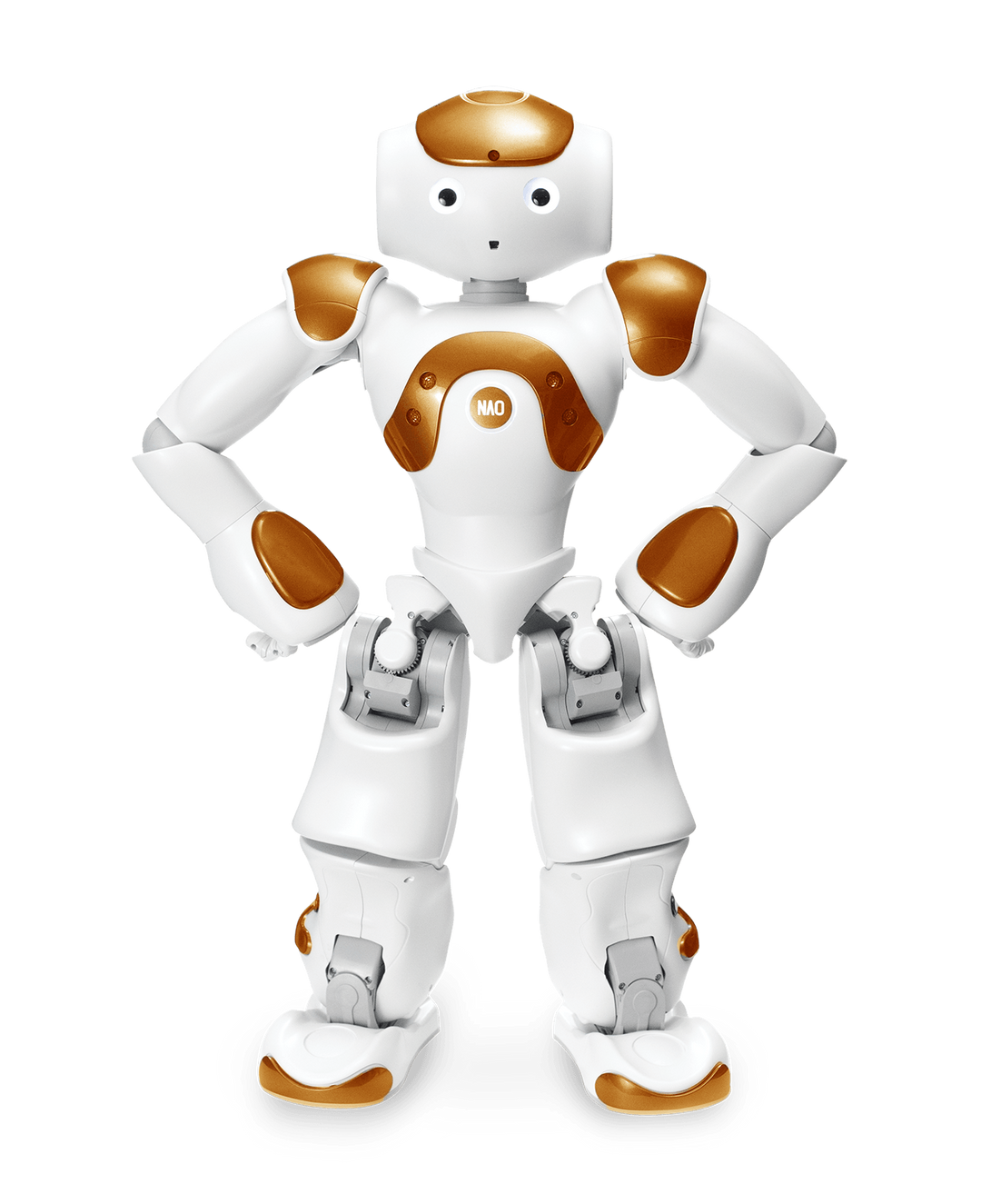 RobotLAB NAO V6 - AI Edition