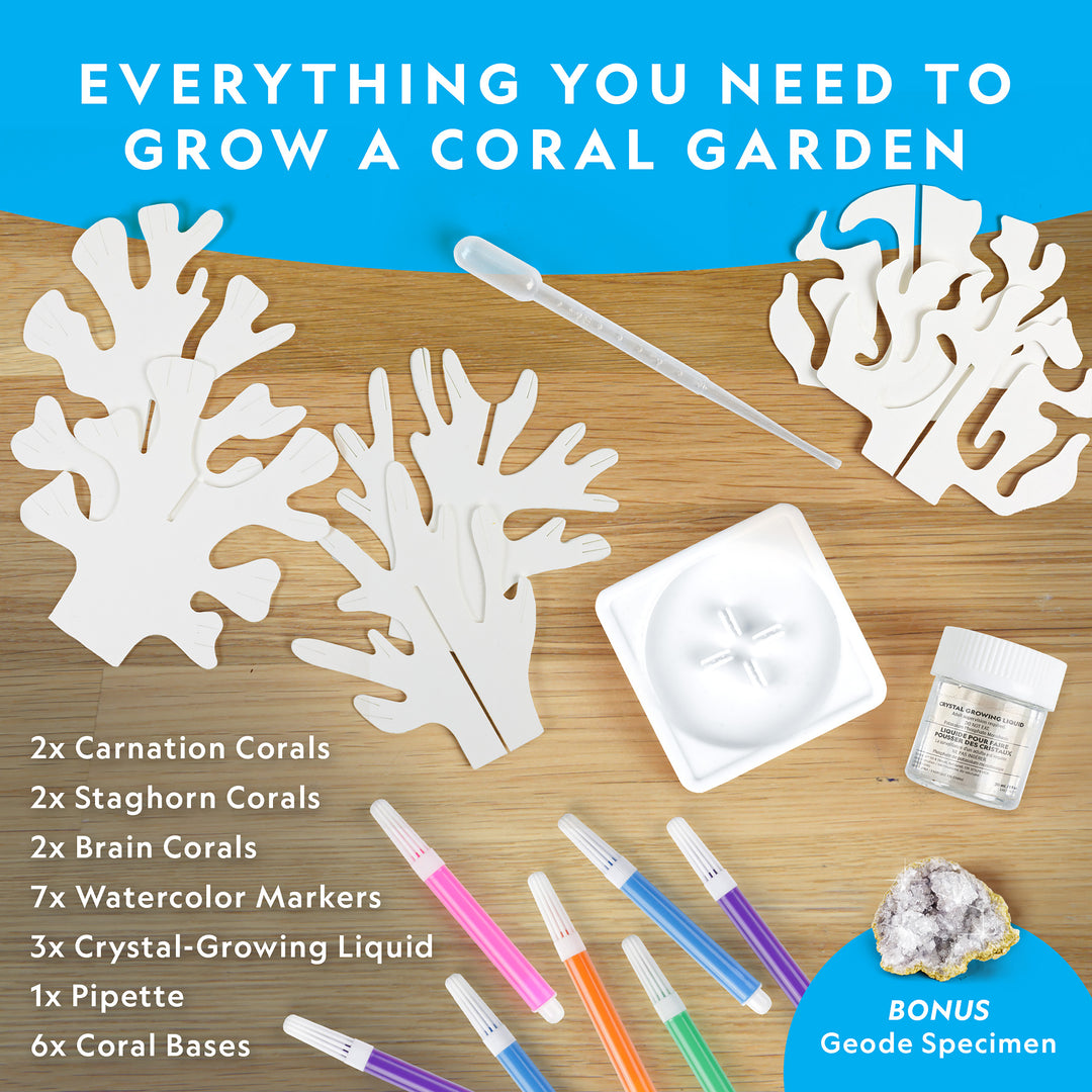 National Geographic: Crystal Reef