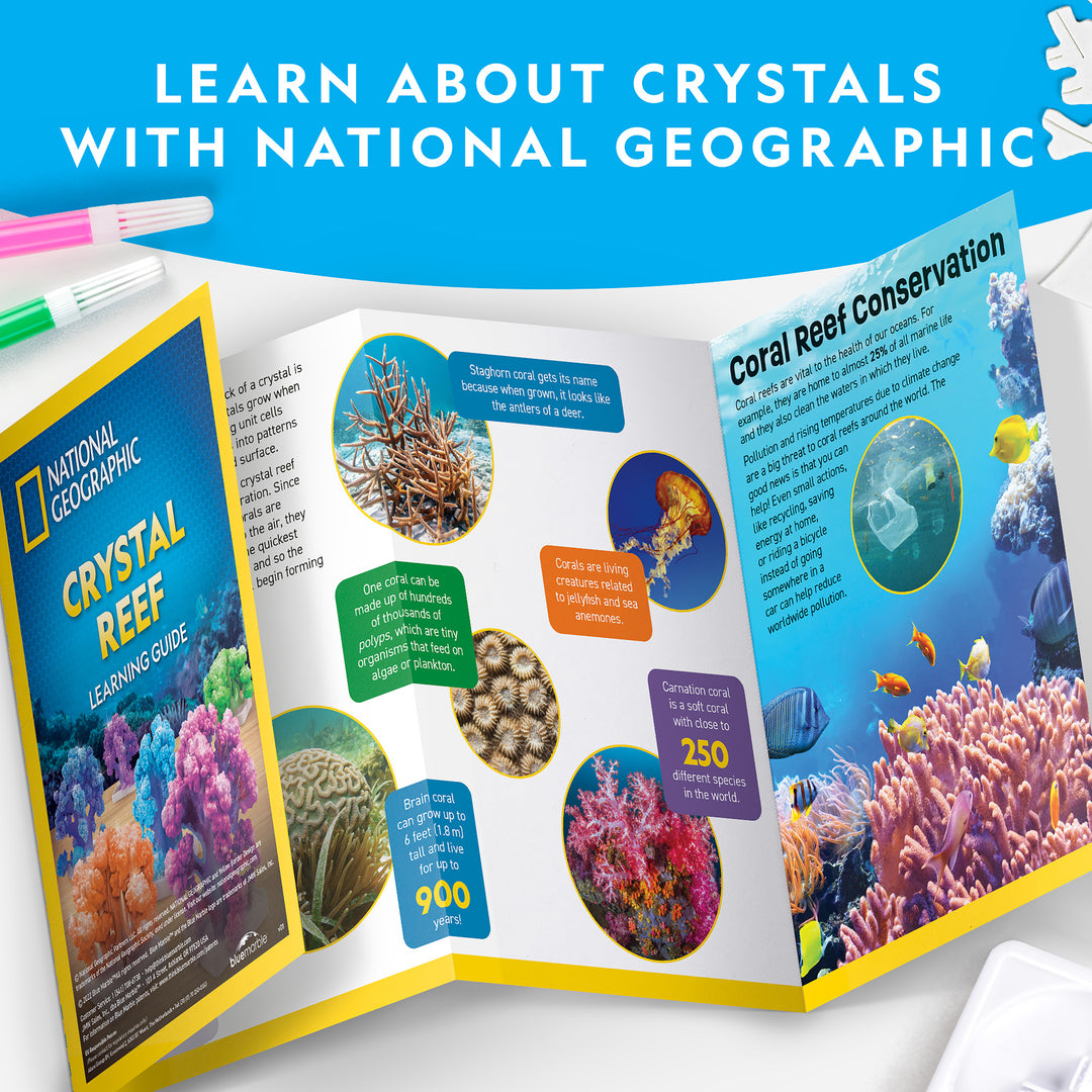 National Geographic: Crystal Reef
