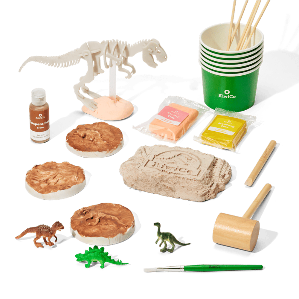 Paleontologist Starter Kit