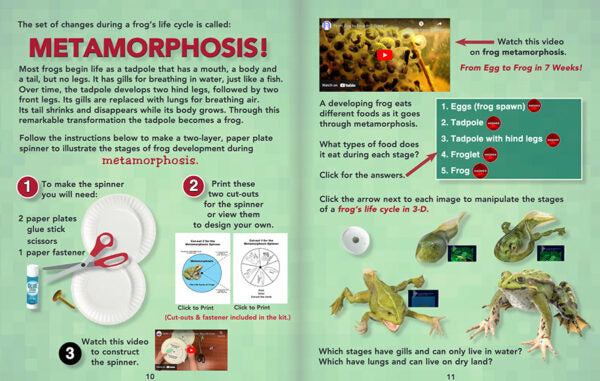 ScienceWiz Interactive Frogs Kit and Book