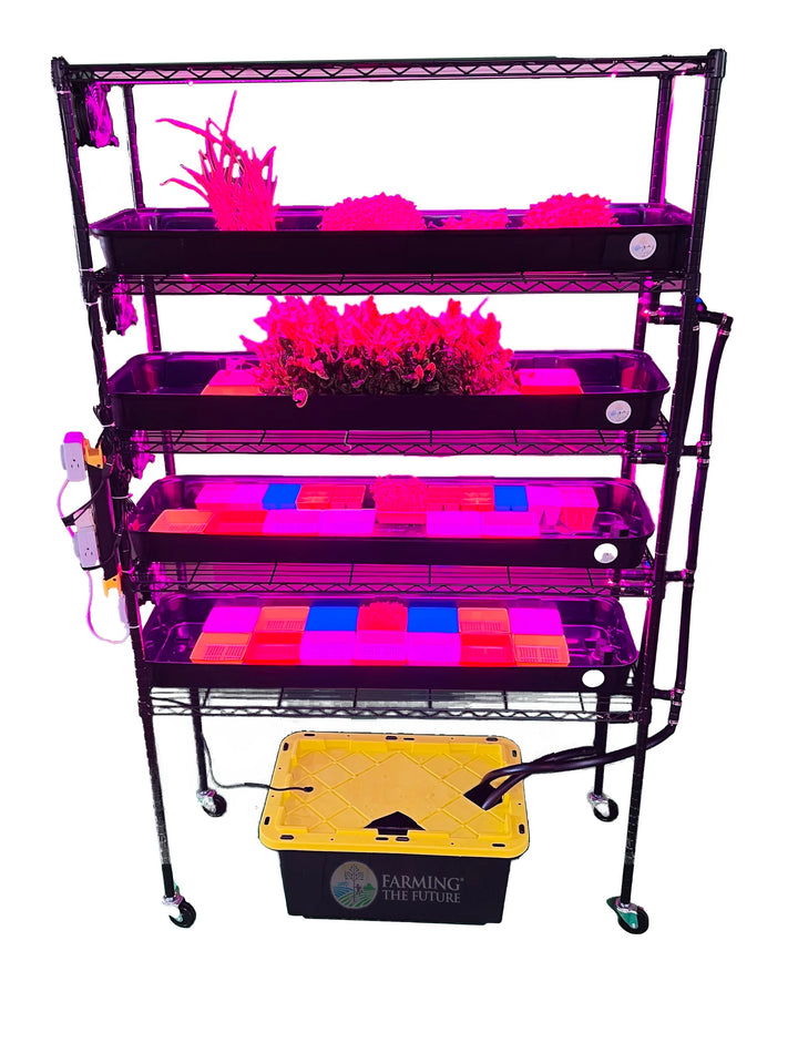 School Hydroponics Grow Rack - Small Rack