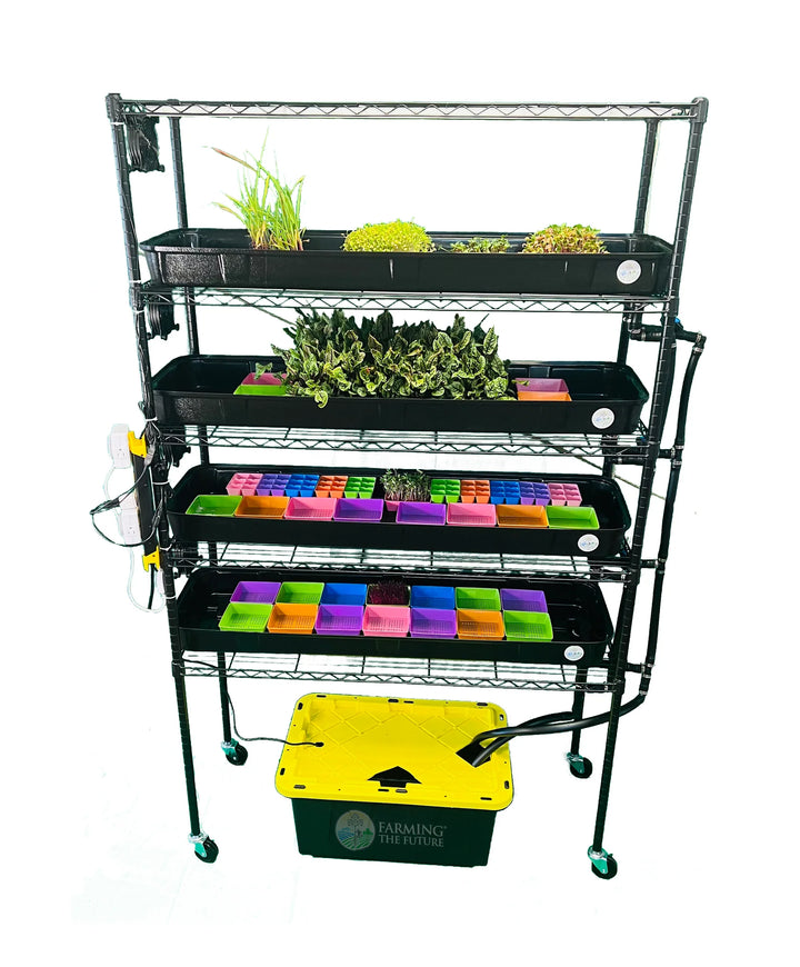 School Hydroponics Grow Rack - Small Rack