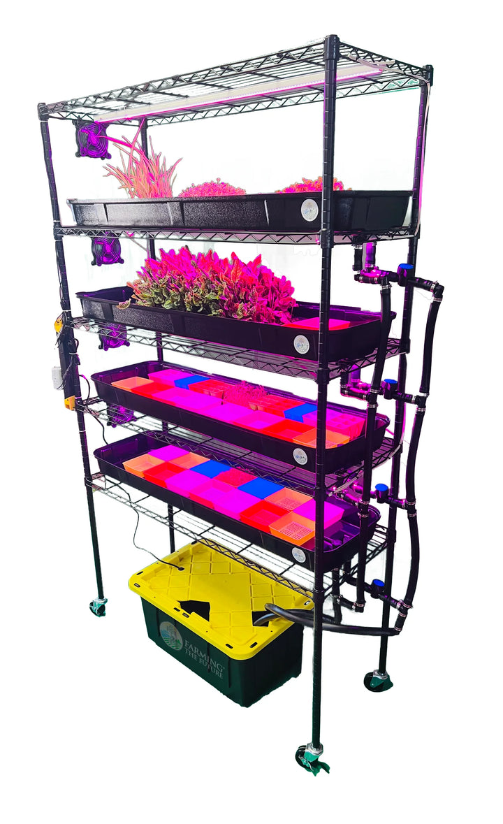 School Hydroponics Grow Rack - Small Rack