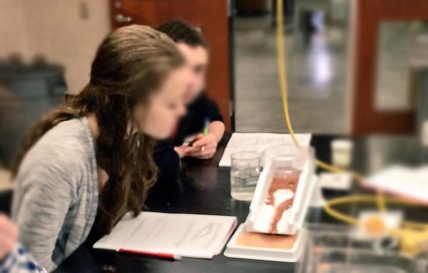 Lab-Aids: Modeling Stream Erosion and Deposition Kit