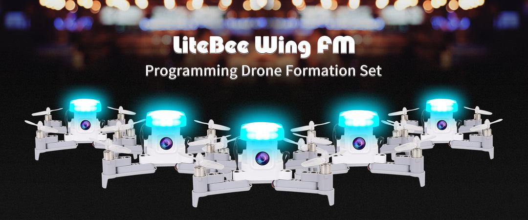 LiteBee Wing FM-10 V2 - CLOSEOUT