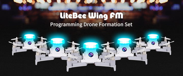 LiteBee Wing FM-10 V2