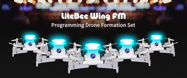 LiteBee Wing FM-10 V2 - CLOSEOUT