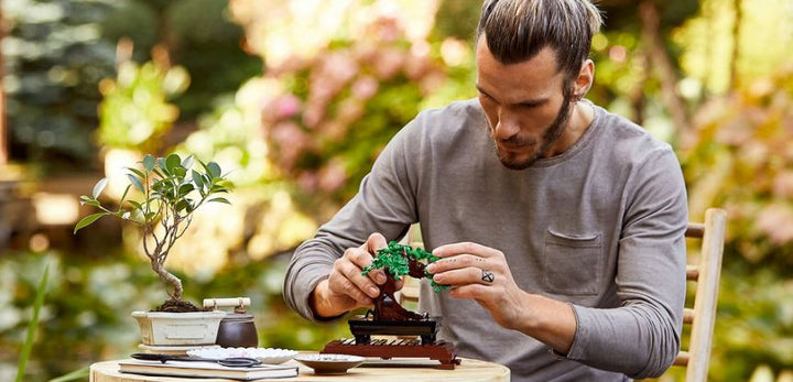 LEGO® Icons: Bonsai Tree