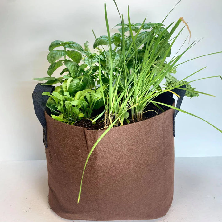 GrowBag Lab