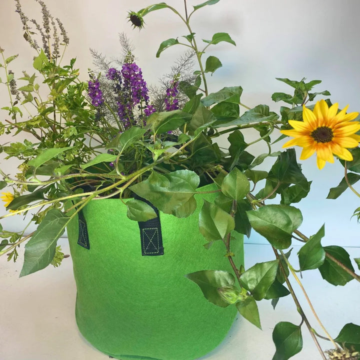 GrowBag Lab