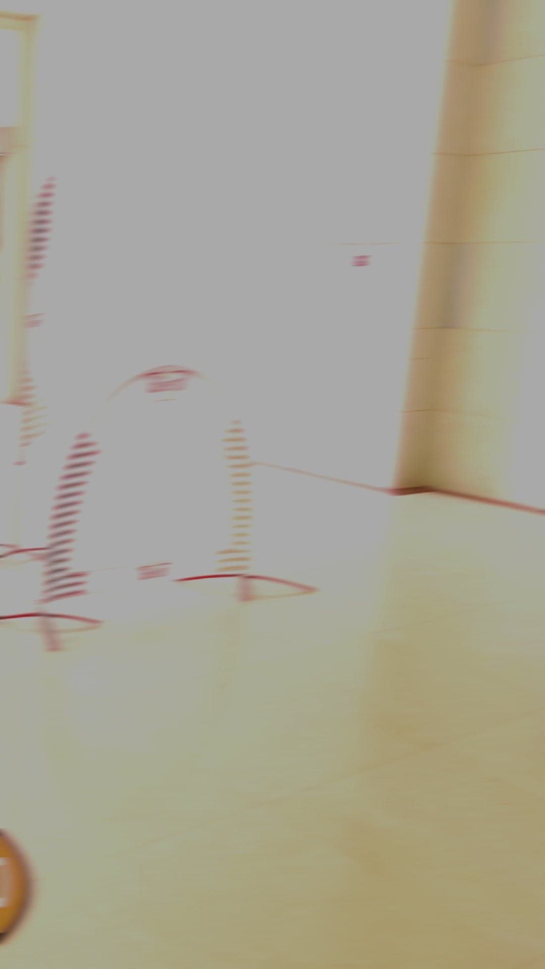 Oriental Navigation Basic Drone Obstacle Course Package