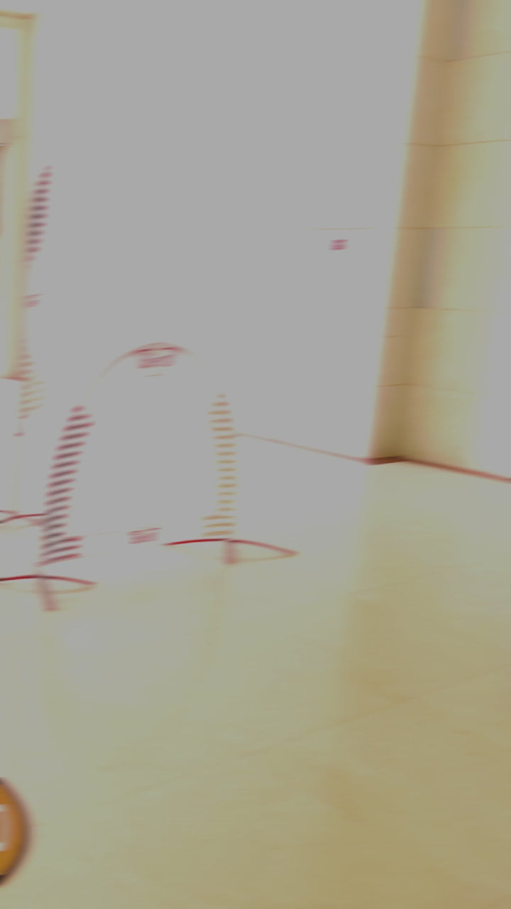 Oriental Navigation Basic Drone Obstacle Course Package