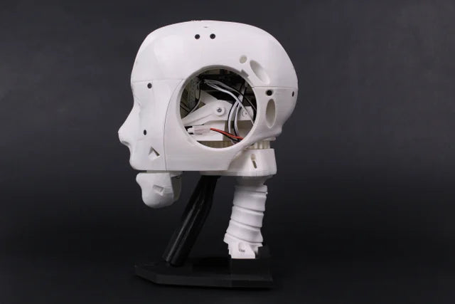 EZ-InMoov Robot Head