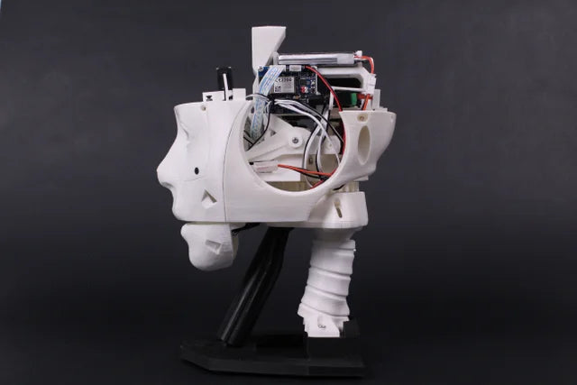 EZ-InMoov Robot Head