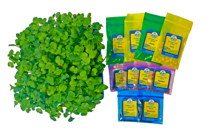 3-5 Table Top Living Lab w/ Curriculum