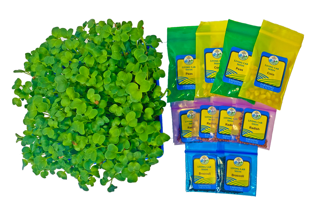 PreK-2 Table Top Living Lab w/ Curriculum