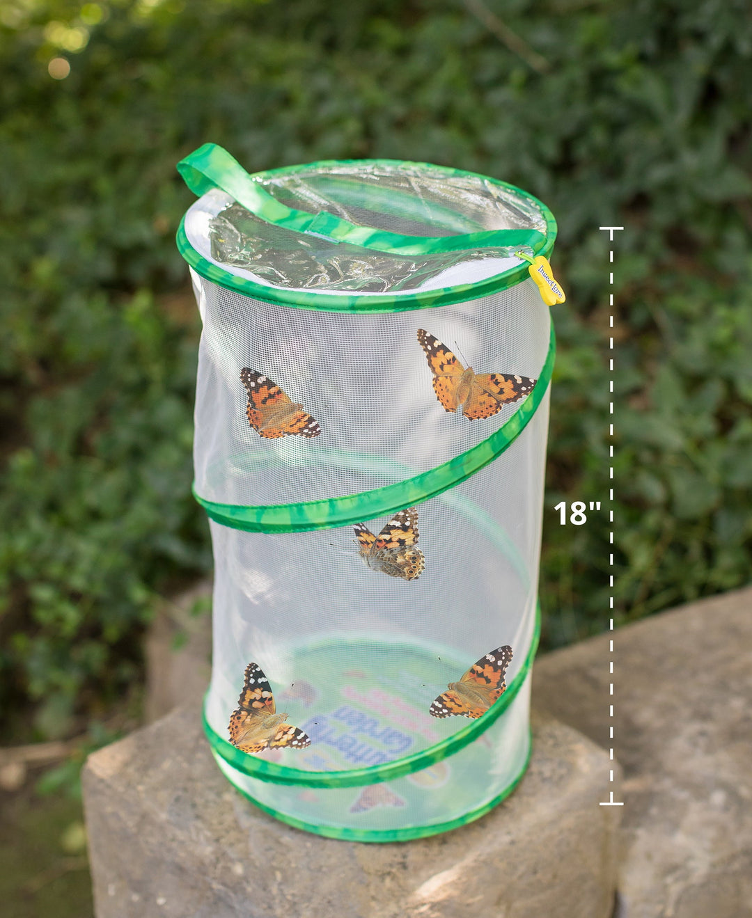 Insect Lore GIANT Butterfly Garden with Voucher - Insect Lore - STEMfinity