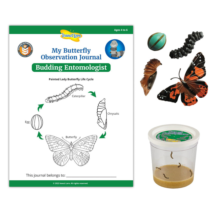 One LIVE Caterpillar Cup Refill Kit with STEM Journal & Life Cycle Stages - Insect Lore - STEMfinity