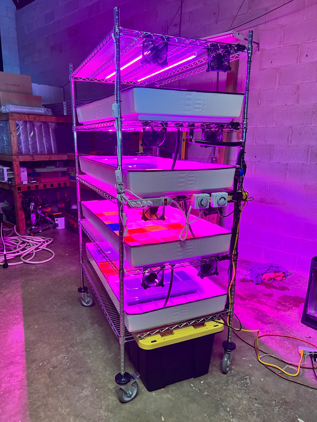 School Hydroponics Grow Rack - Full Rack