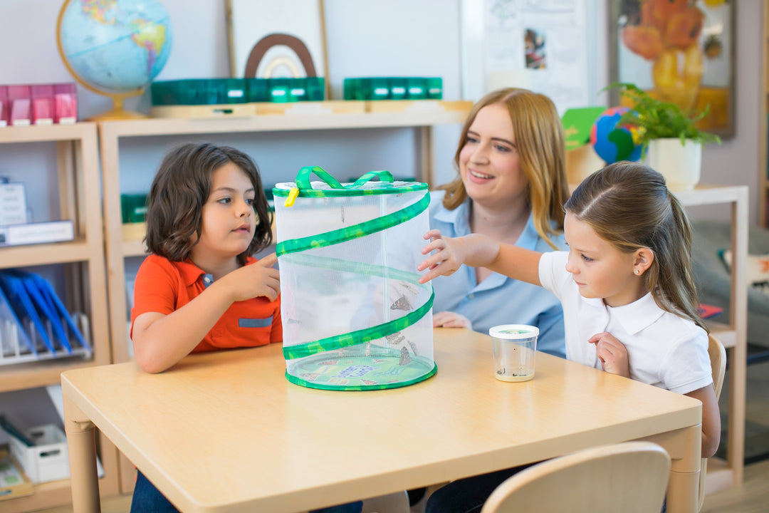 Insect Lore Butterfly Garden Kit with Two LIVE Cups of Caterpillars plus Bilingual STEM Journals and Butterfly Life Cycle Stages - Insect Lore - STEMfinity