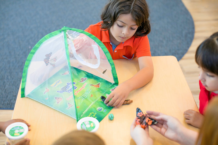 Insect Lore Butterfly Farm with Voucher (PREPAID) - Insect Lore - STEMfinity