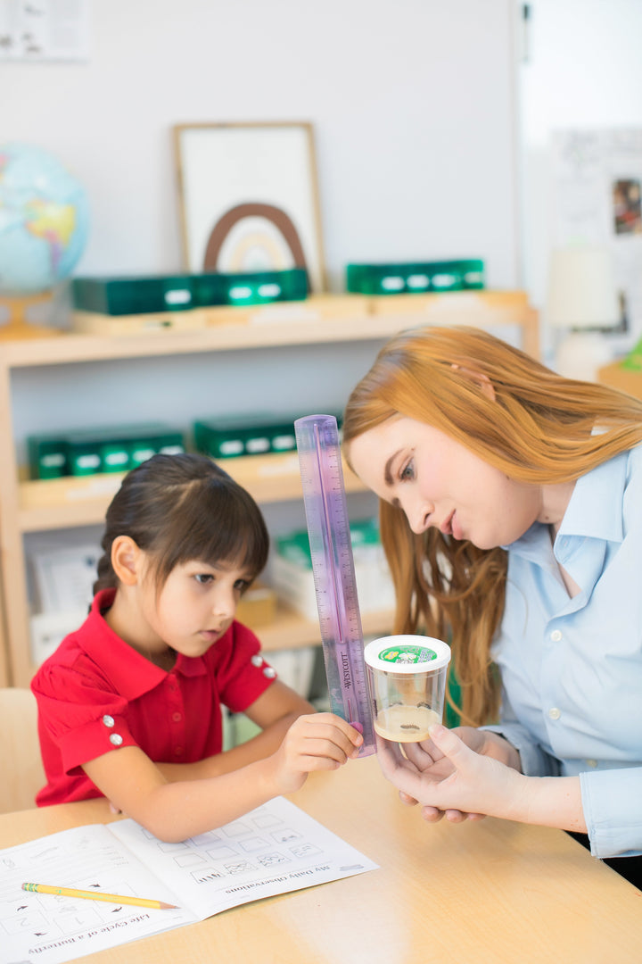 Insect Lore Butterfly Garden Kit with Two LIVE Cups of Caterpillars plus Bilingual STEM Journals and Butterfly Life Cycle Stages - Insect Lore - STEMfinity