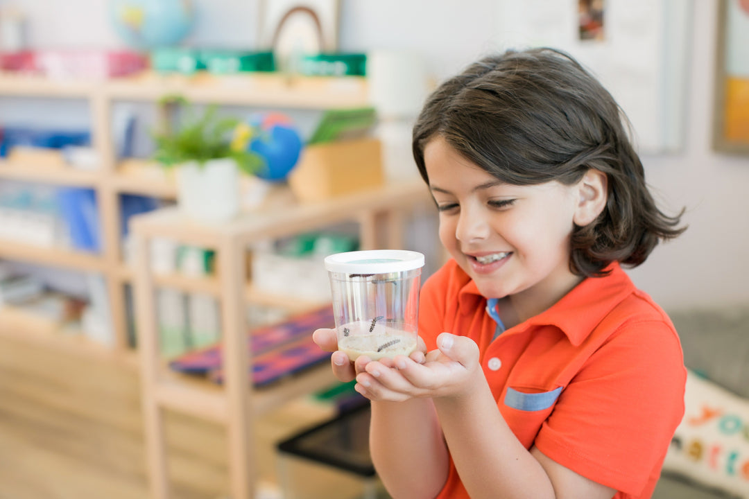 Insect Lore Butterfly Pavilion Kit with Two LIVE Cups of Caterpillars - Insect Lore - STEMfinity