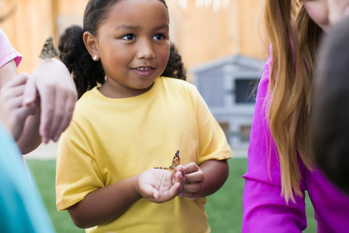 Insect Lore Butterfly Farm with Voucher (PREPAID) - Insect Lore - STEMfinity