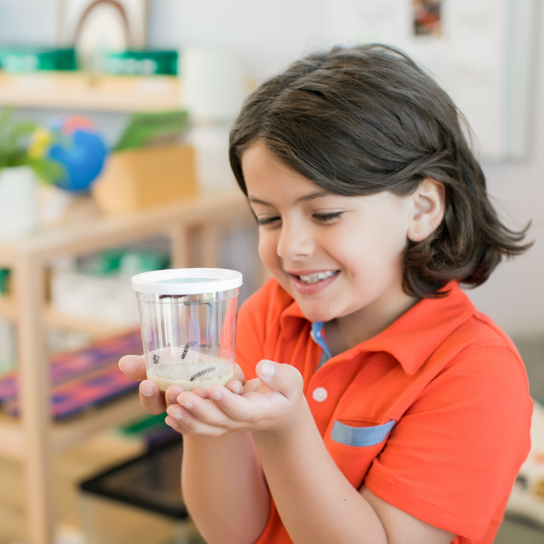One LIVE Caterpillar Cup Refill Kit with STEM Journal & Life Cycle Stages - Insect Lore - STEMfinity