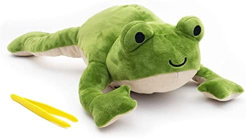 Froggie Dissection Lab - KiwiCo - STEMfinity