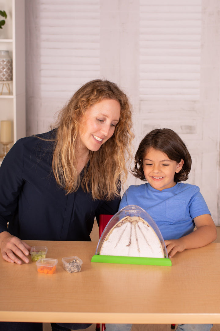 Insect Lore Ant Mountain Kit with TWO Tubes of LIVE Ants and Activity Journal - Insect Lore - STEMfinity