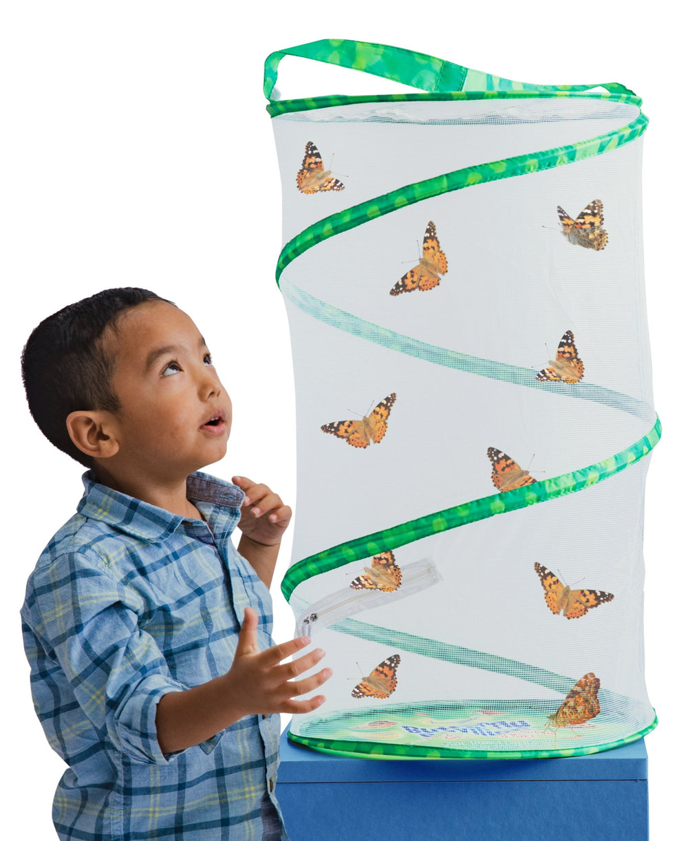 Insect Lore Butterfly Pavilion Deluxe School Kit with 33 LIVE Caterpillars - Insect Lore - STEMfinity