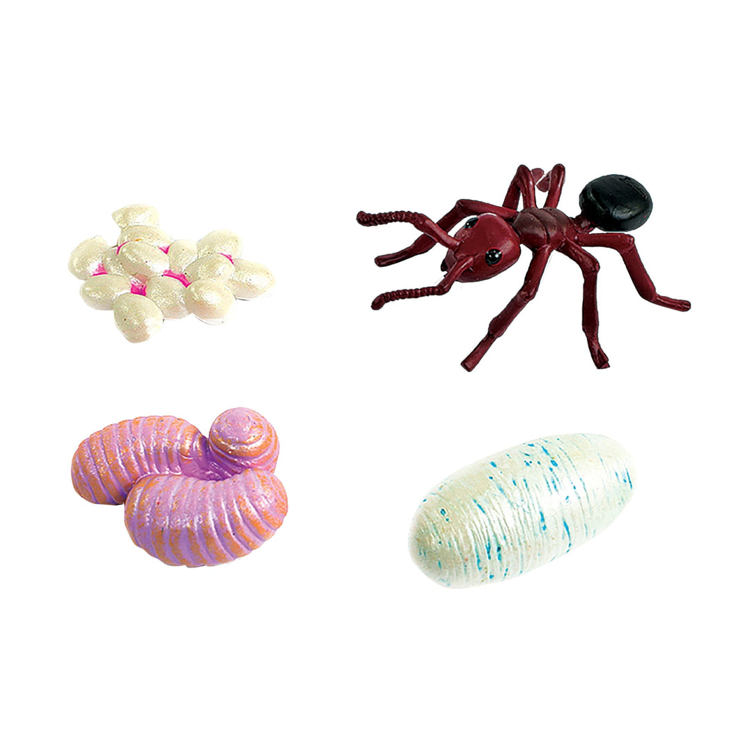 LIVE Ant Tubes Refill Kit with Journal and Life Cycle Stages - Insect Lore - STEMfinity