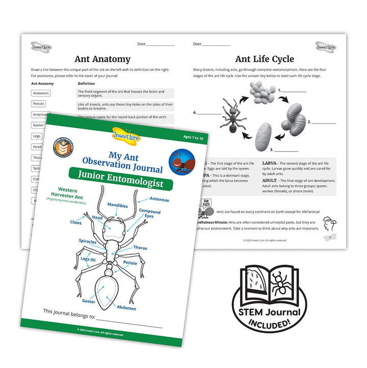 Insect Lore Ant Mountain Kit with TWO Tubes of LIVE Ants and Activity Journal - Insect Lore - STEMfinity