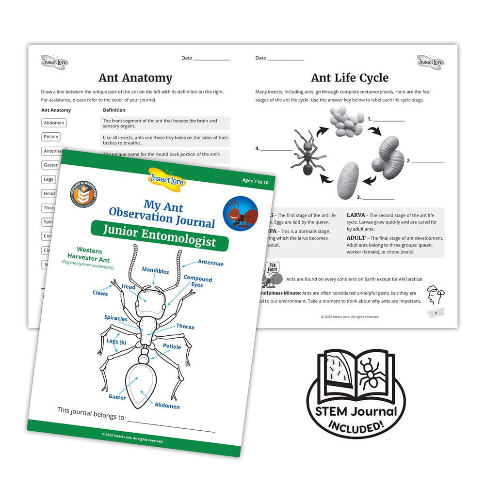 LIVE Ant Tubes Refill Kit with Journal and Life Cycle Stages - Insect Lore - STEMfinity