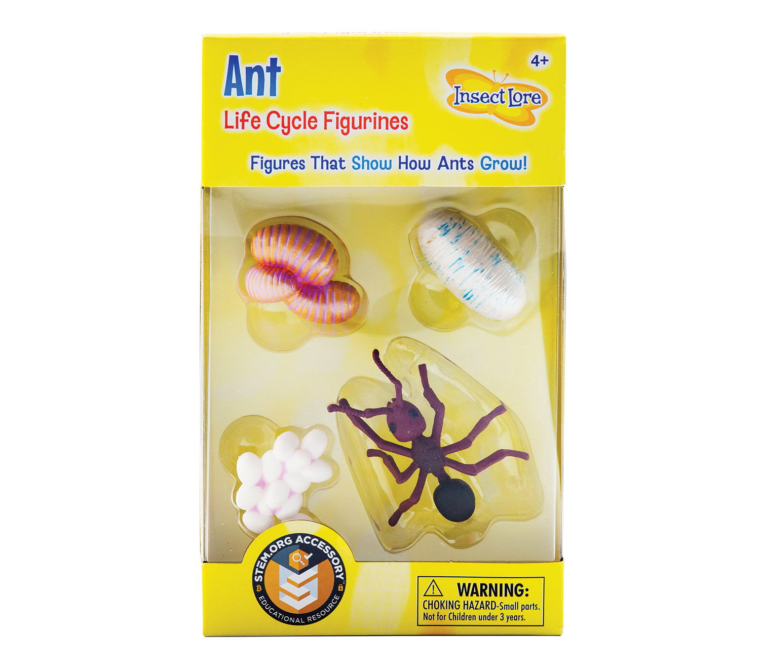 Insect Lore Ant Life Cycle Figurines 4 Piece Set STEMfinity