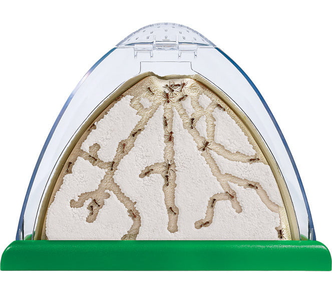 Insect Lore Ant Mountain Kit with TWO Tubes of LIVE Ants and Activity Journal - Insect Lore - STEMfinity