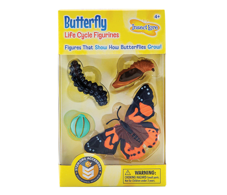 Insect Lore Butterfly Life Cycle Figurines 4 Piece Set - Insect Lore - STEMfinity