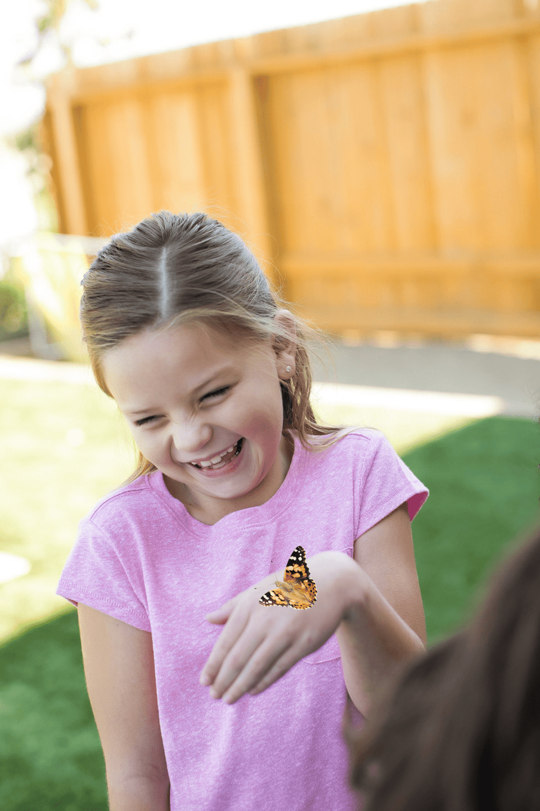 Insect Lore Butterfly Garden Kit with Two LIVE Cups of Caterpillars plus Bilingual STEM Journals and Butterfly Life Cycle Stages - Insect Lore - STEMfinity