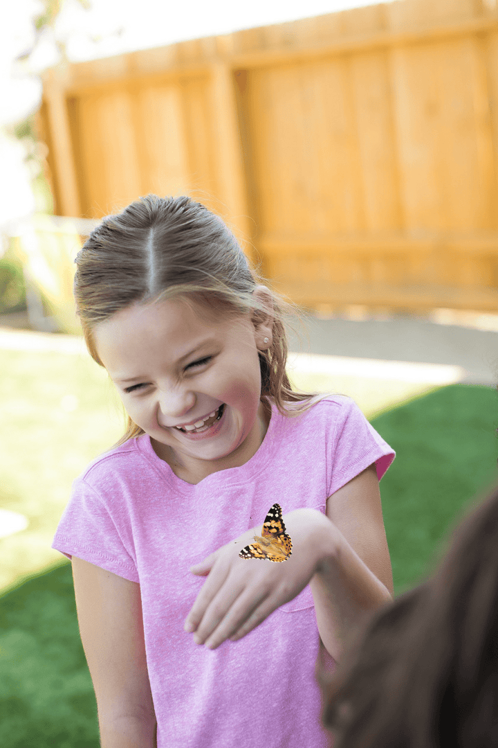 Insect Lore Butterfly Garden Kit with Two LIVE Cups of Caterpillars plus Bilingual STEM Journals and Butterfly Life Cycle Stages - Insect Lore - STEMfinity