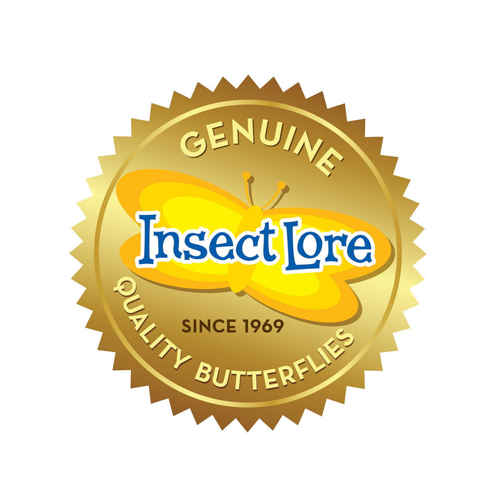 Insect Lore Easy 25 School Kit - Insect Lore - STEMfinity