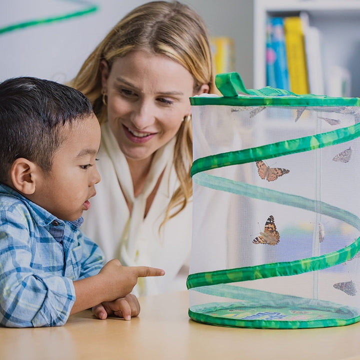Insect Lore Butterfly Garden with Voucher - Insect Lore - STEMfinity