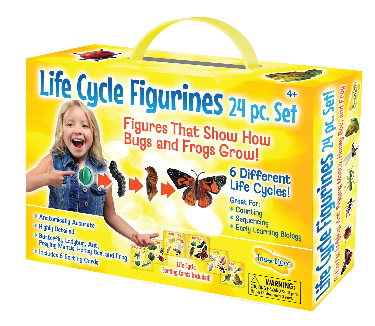 Insect Lore Life Cycle Figurines 24 Piece Set – STEMfinity
