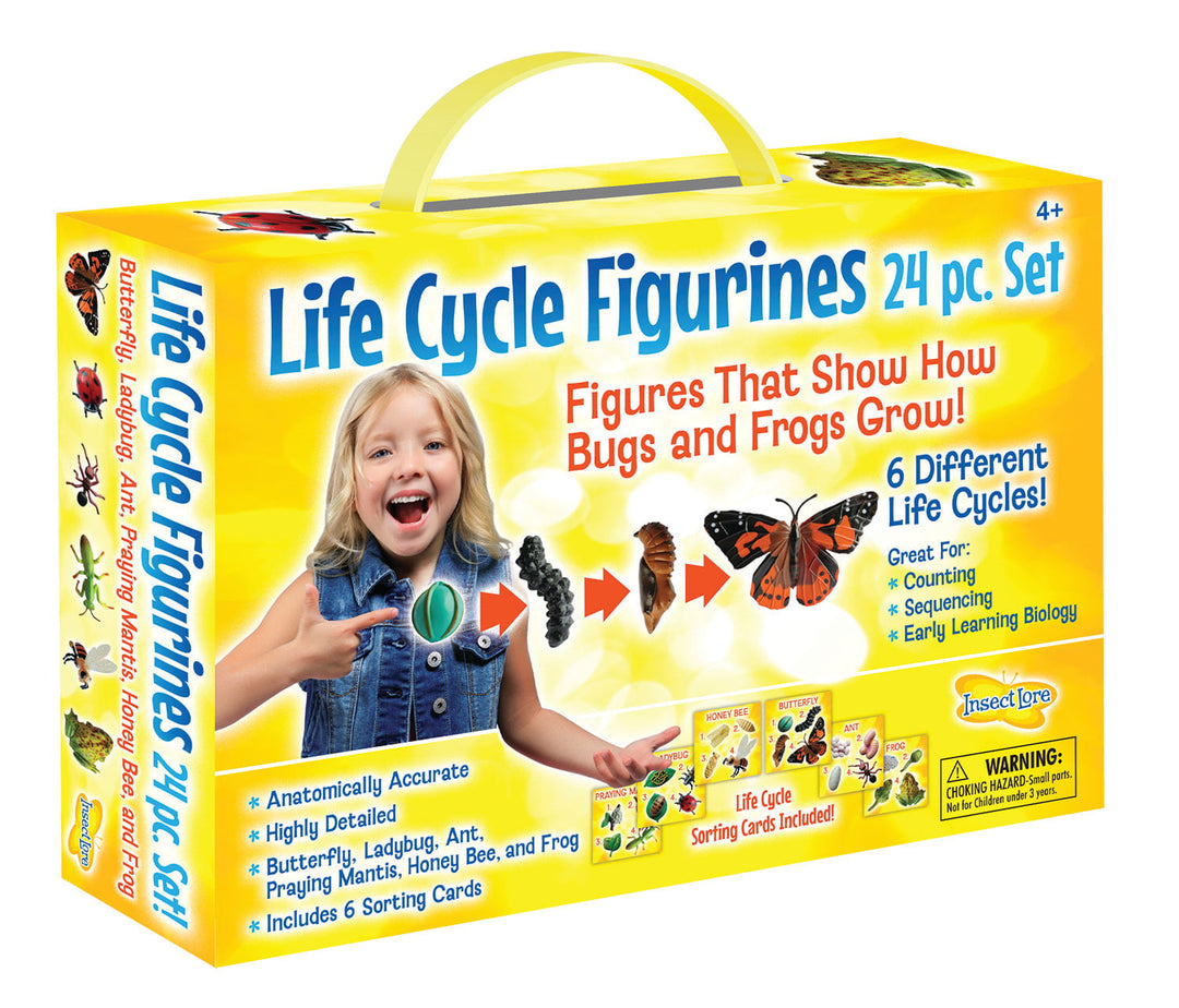Insect Lore Life Cycle Figurines 24 Piece Set - Insect Lore - STEMfinity